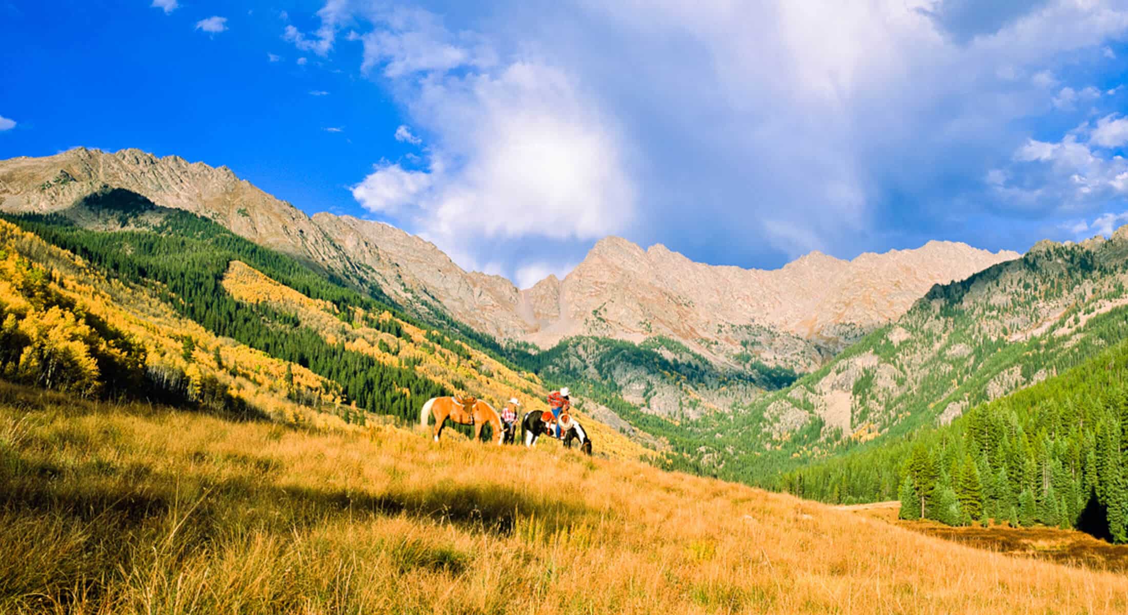 A group of people riding horses on a grassy hillside in Vail.
