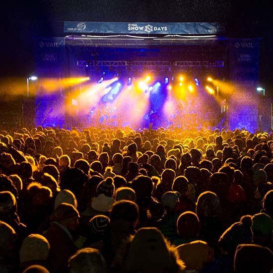 A crowd of people watching a concert at night.
