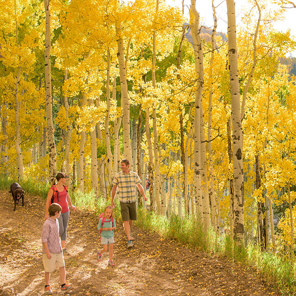 A smiling family of four strolls a dirt trail surrounded by golden aspen leaves in Vail, CO.