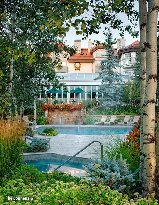 A lush pool oasis surrounded by flourishing aspen trees and other greenery awaits guests at the Sonnenalp hotel in Vail, Colorado.
