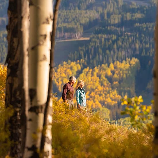 A man and woman hiking in the gold-colored aspens in Vail, Colorado.