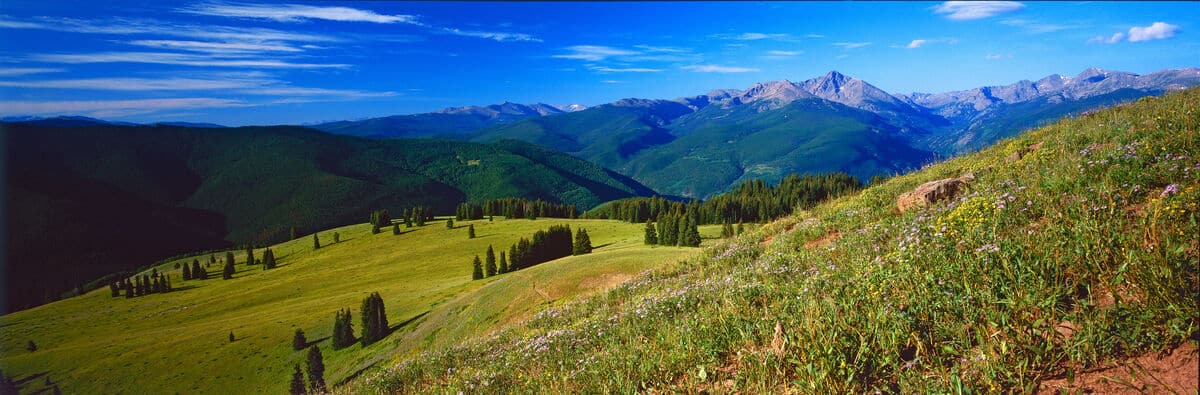 mountain scene with wildflower-covered hills