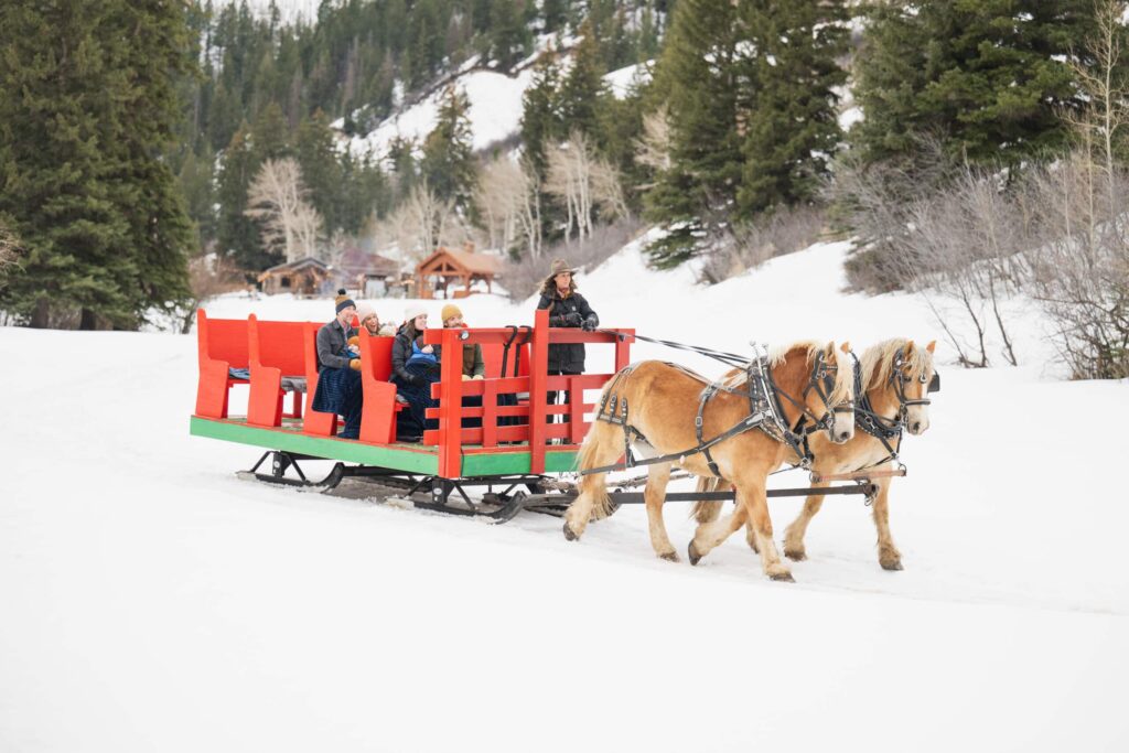 family sleigh riding in the winter in vail
