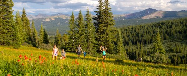 A family of four hikes amongst wildflowers with evergreens and mountains behind them in Vail.