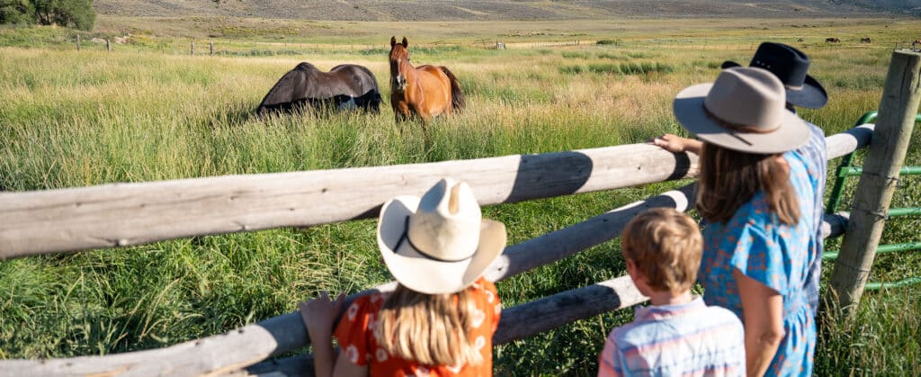 View from behind of a family of two adults and two children wearing cowboy hats and looking through a wood fence at a pasture with two horses in it, at 4 Eagle Ranch in Vail, Colorado.