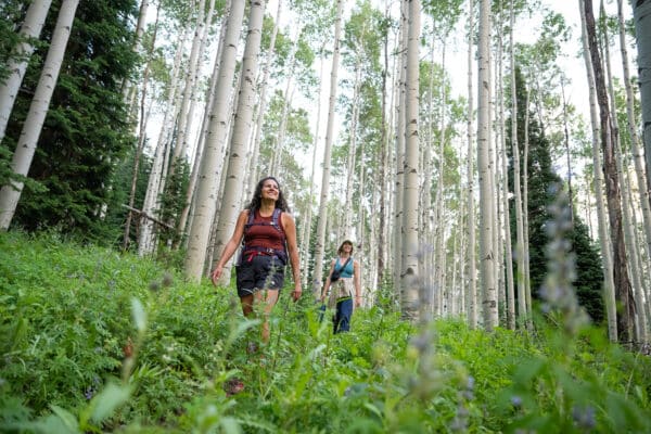 Women hiking through aspens