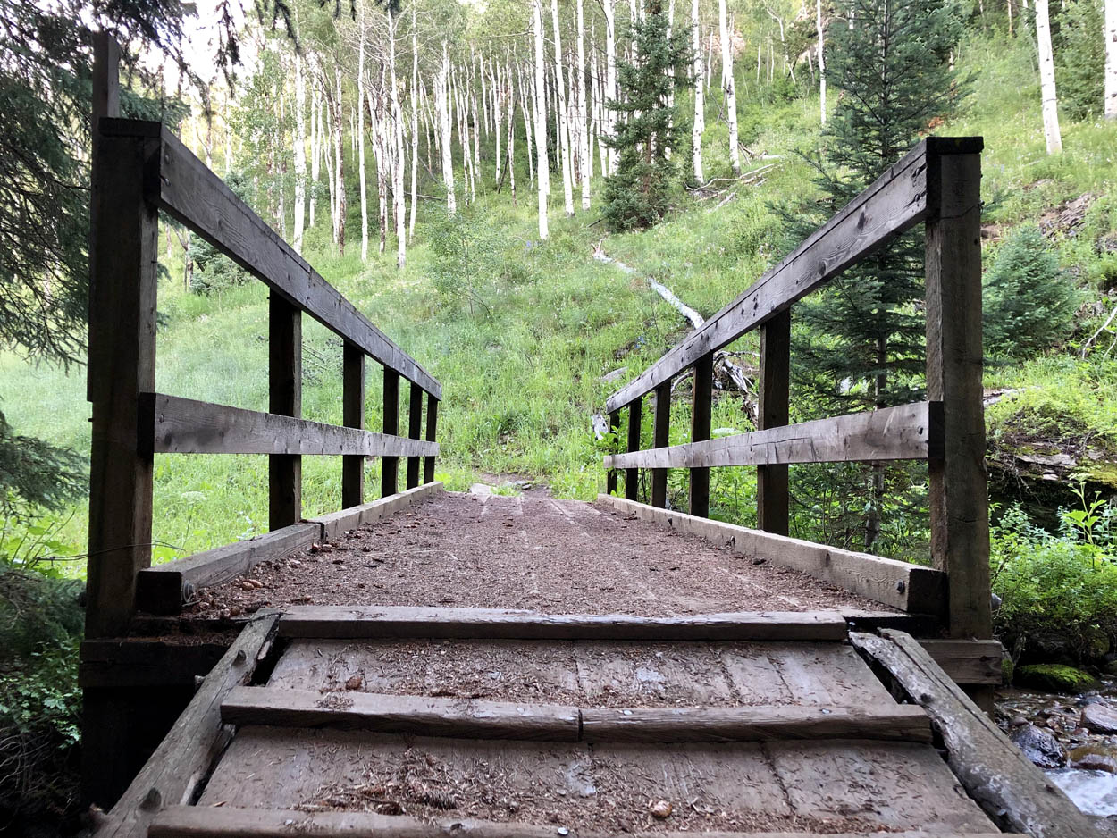 Wooden trail bridge in aspen forest