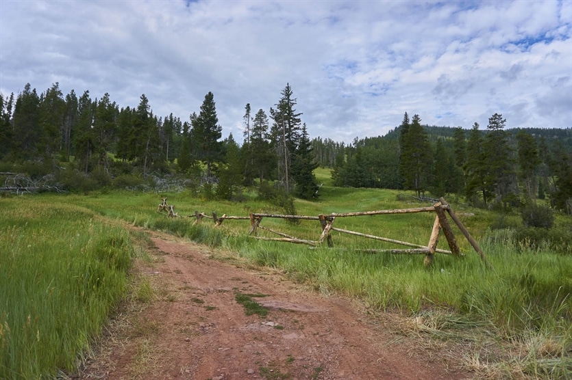 View of Meadow Mountain Trail with log fence among pine trees