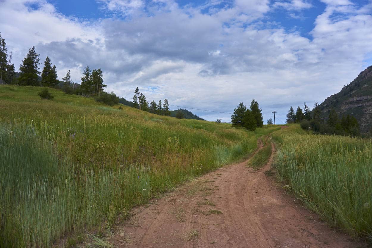 Meadow mountain dirt trail amongst grassy field