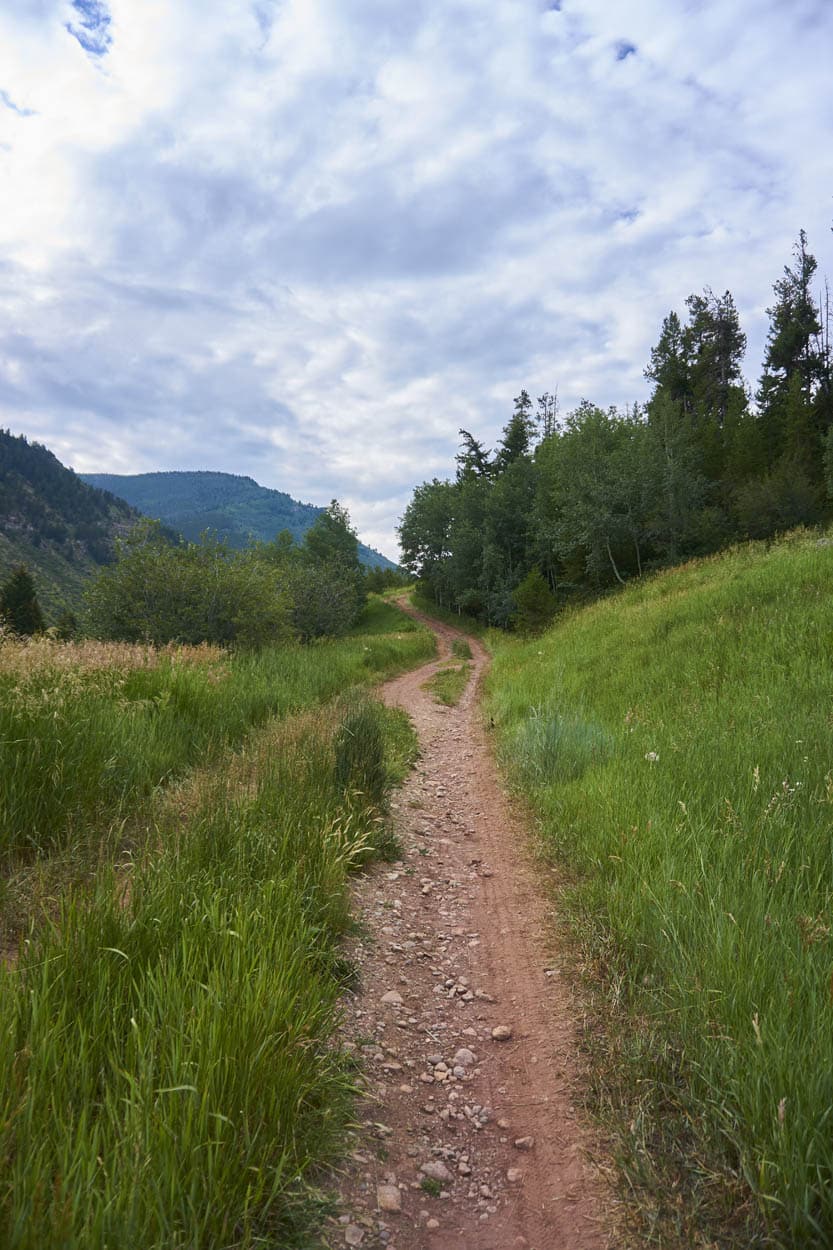 Meadow mountain dirt trail amongst grassy field with mountain in distance