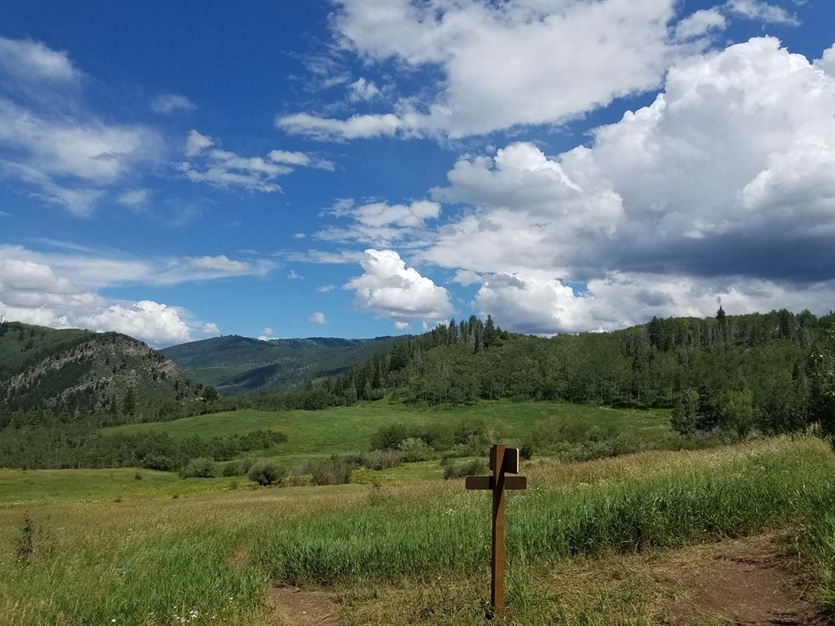 Everkrisp trail sign in open field with grasses