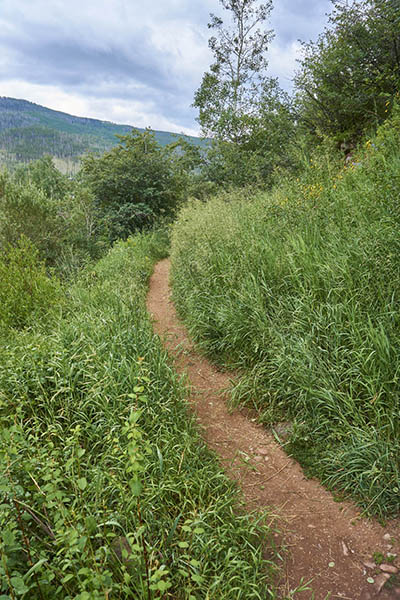 North Trail in vail