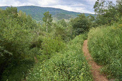 North Trail singletrack