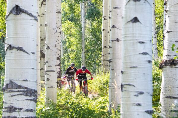 Three bikers race along a dirt track in single file and whiz pass white-bark aspen trees near Vail, Colorado.