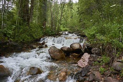 Pitkin Creek Trail falls