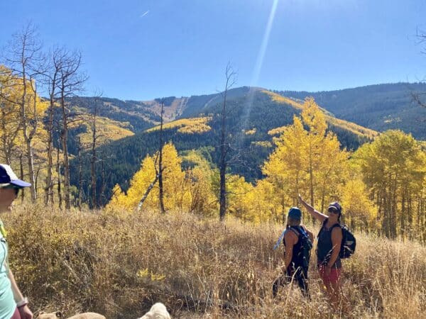 Three girls hiking on top of a mountain in the fall with yellow grass in the foreground and yellow aspens and mountains in the background.
