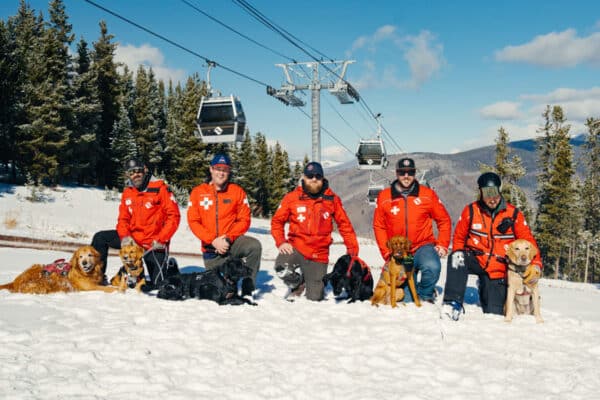 Vail avalanche-safety dogs pose with Vail Ski Patrol handlers on top of Vail Mountain with a ski lift and lodgepole pine trees behind them.