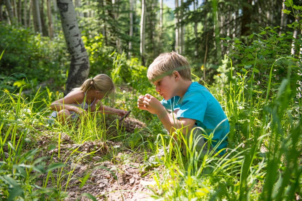 Two children exploring nature on a hike in Vail, Colorado.