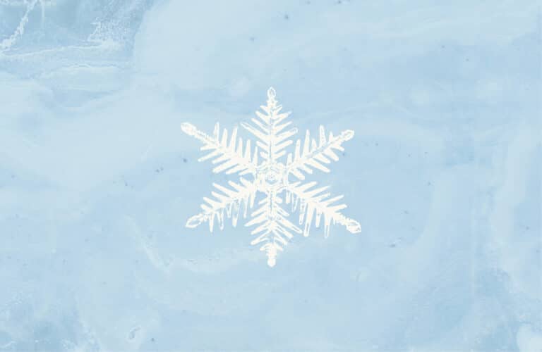 A detailed snowflake icon icon in white overlayed on an icy texture blue background.
